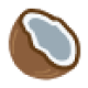 Coconut icon